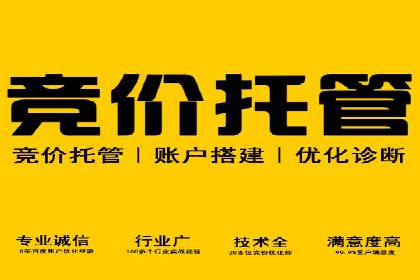 竞价广告的技巧与策略：网络推广的经典案例分享